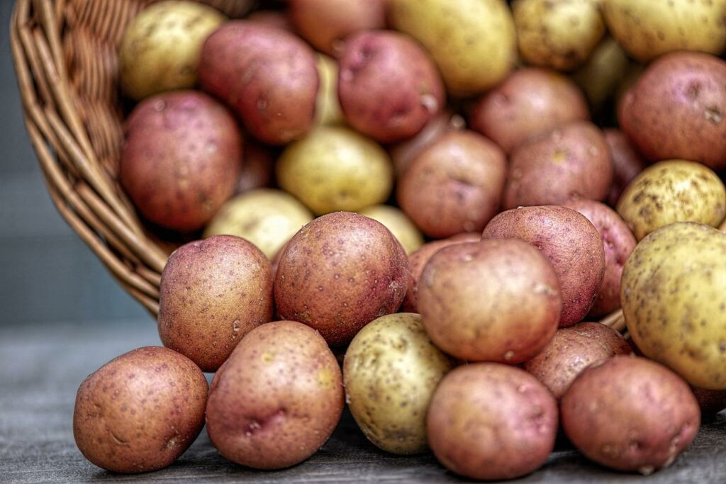 potatoes, vegetables, nature-4331742.jpg