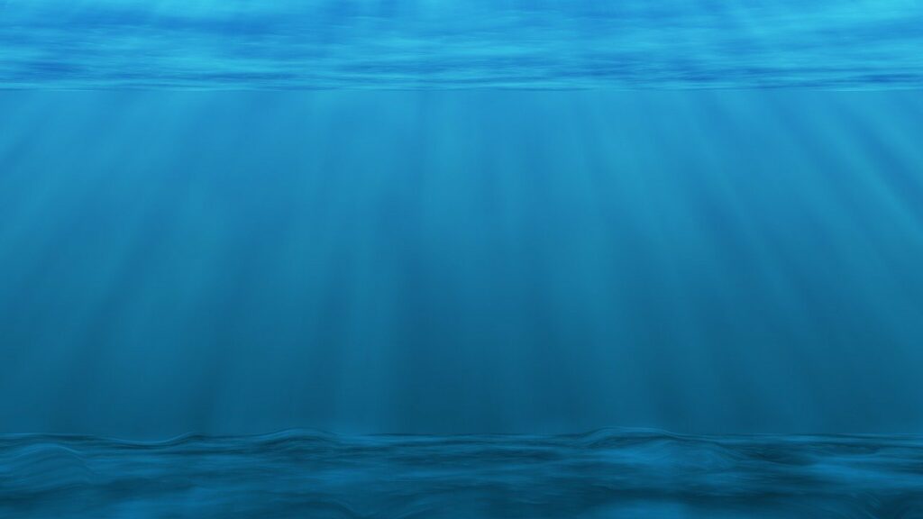underwater, sea ocean, plankton-2615376.jpg